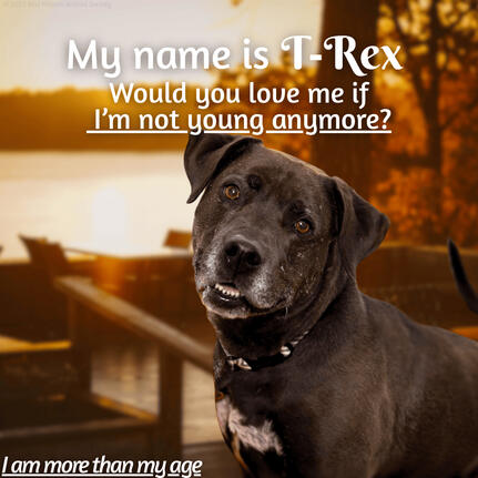 T-Rex