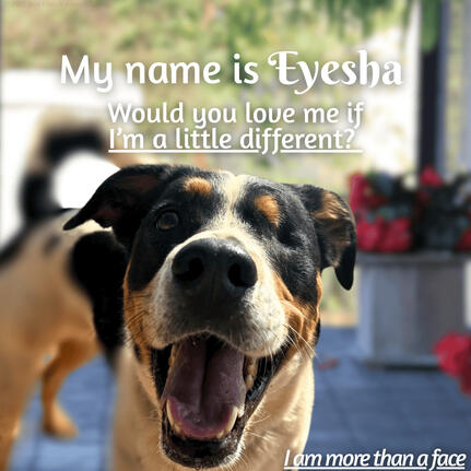 Eyesha