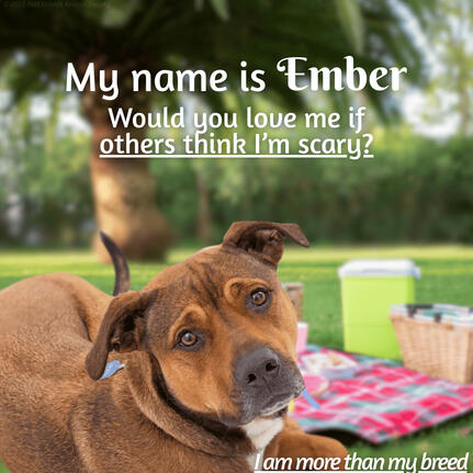 Ember